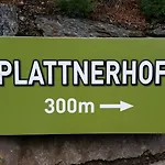 Plattnerhof 公寓 *