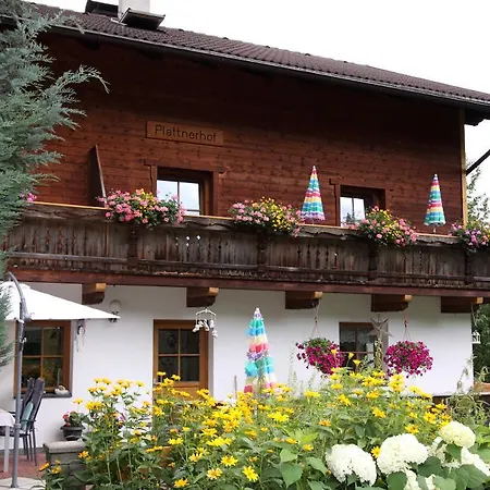 Plattnerhof Διαμέρισμα Kals-am Großglockner