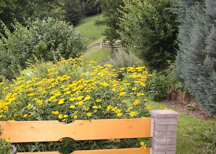 דירה Plattnerhof