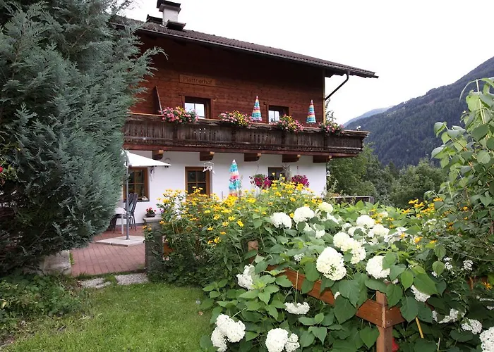 Plattnerhof דירה